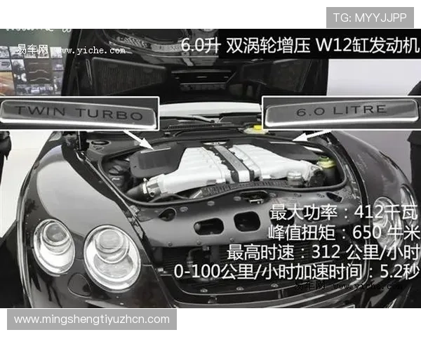 飞驰在线官网的主要功能与使用指南全解析